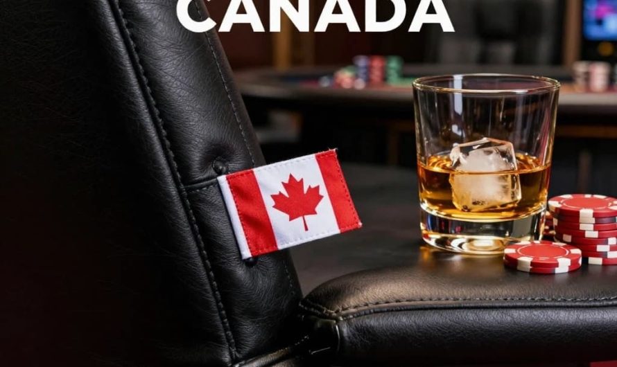 User Friendly Crypto Slot Casino with Live Dealer Games in Canada A Comprehensive Overview