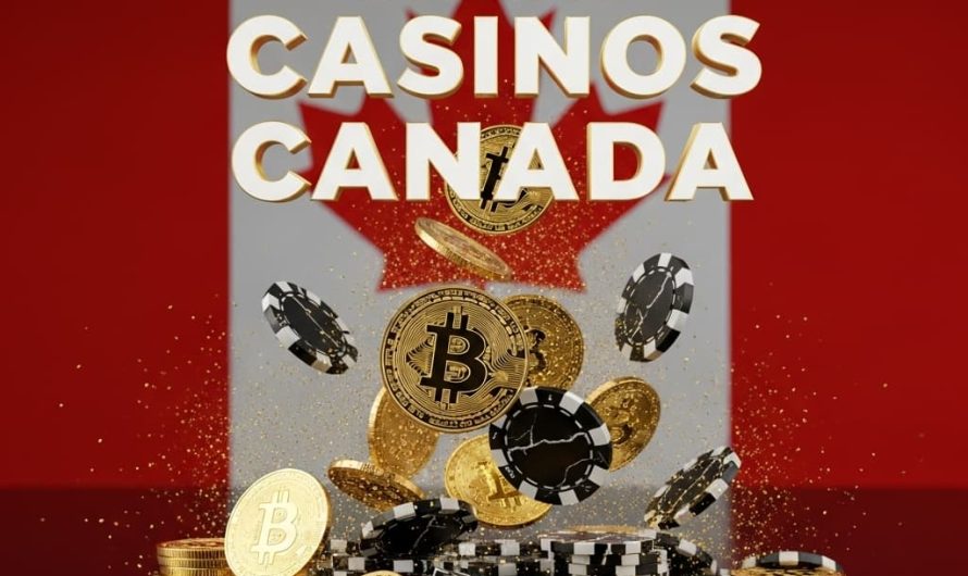 High Limit Crypto Betting Casinos with Progressive Jackpots