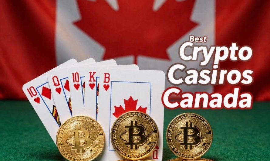 Looking for a low deposit crypto casino that delivers provably fair gaming and a vibrant live dealer experience?