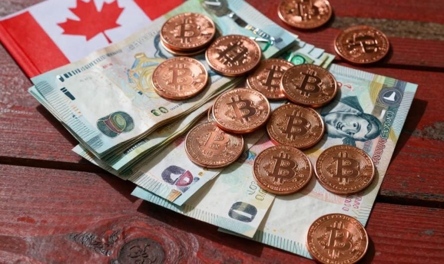 Welcome to the future of gambling in Canada – a digital casino that blends cryptocurrency with cutting‑edge blockchain technology, NFT gaming, and provably fair mechanics