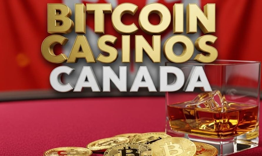 Top-Rated Bitcoin Casino for Canadian Players