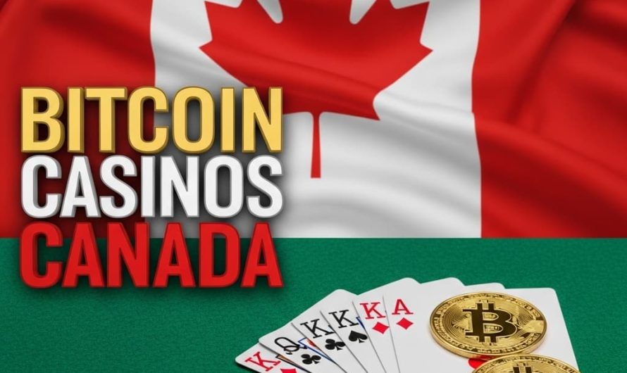 Canada’s crypto‑casino scene is booming‚ and players are now looking for elite online blockchain slots that combine high payouts, secure gaming, and the excitement of a no deposit bonus
